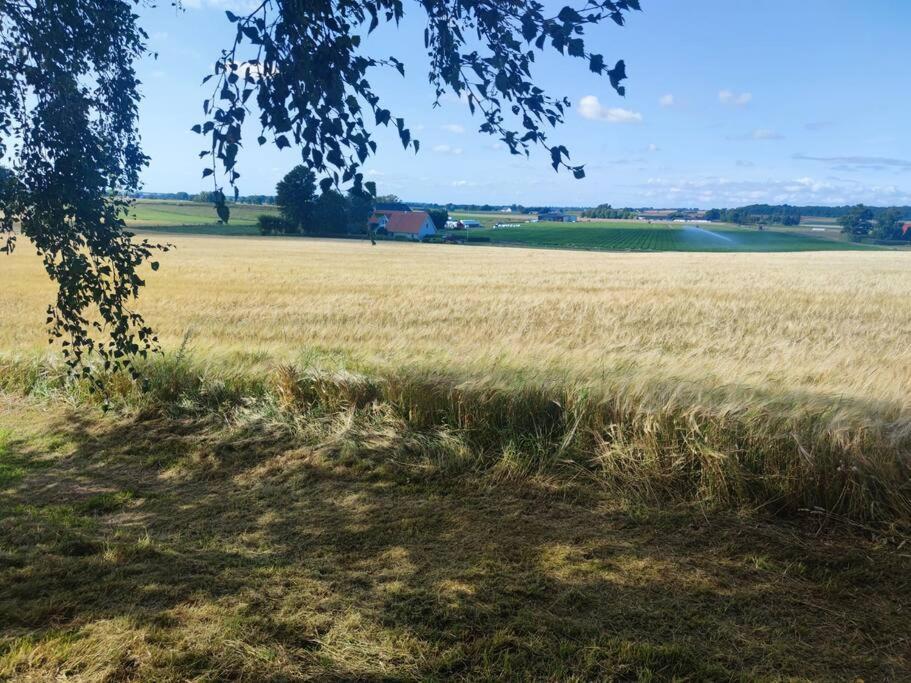 Gaesthus Pa Oesterlen Med Naerhet Till Strand & Golf Villa Ystad Kültér fotó